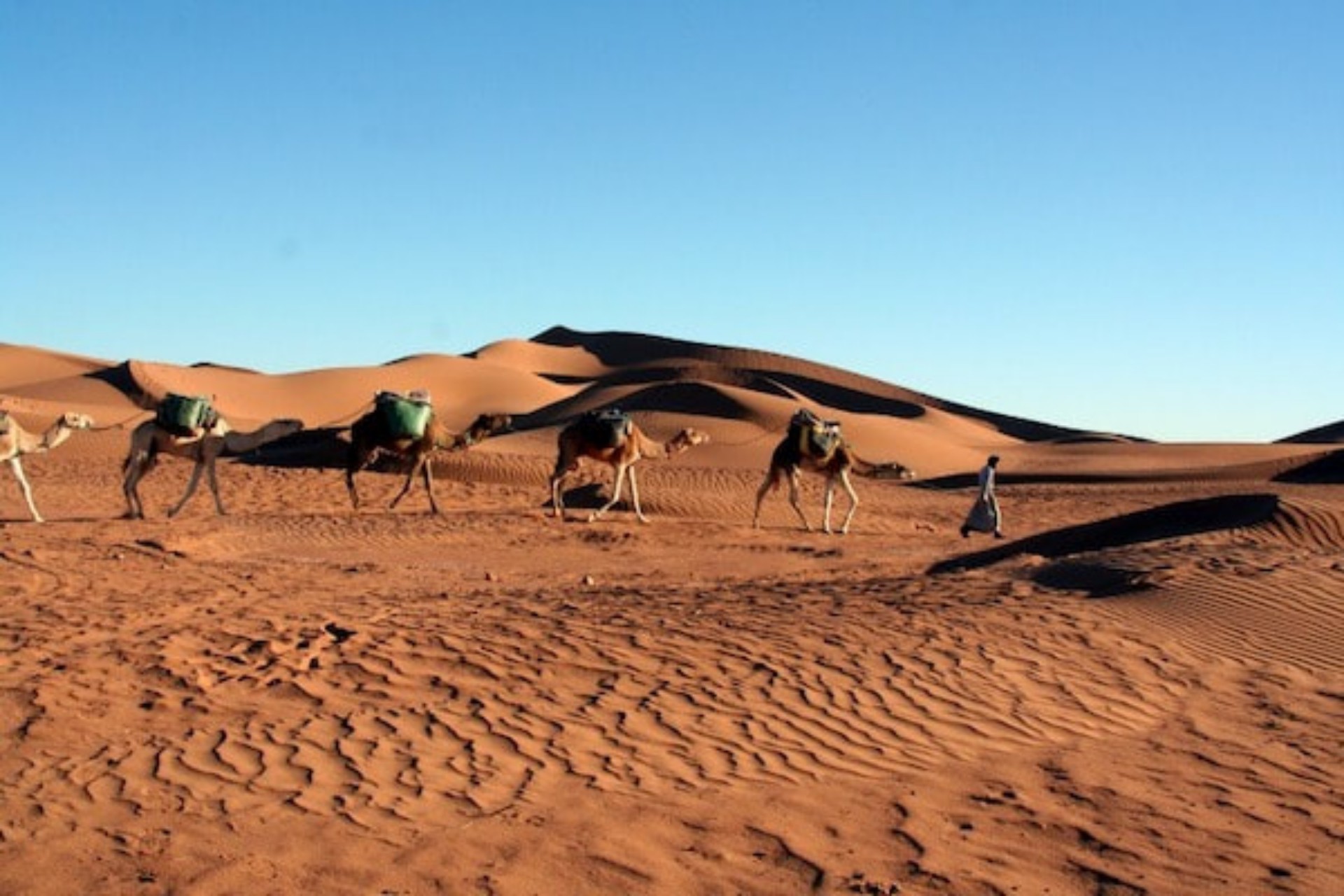 4 Days Tour from Marrakech to Zagora Desert