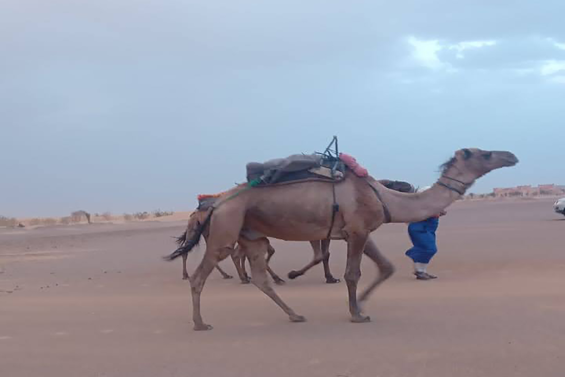 6 Days Desert Tour from Marrakech to Merzouga