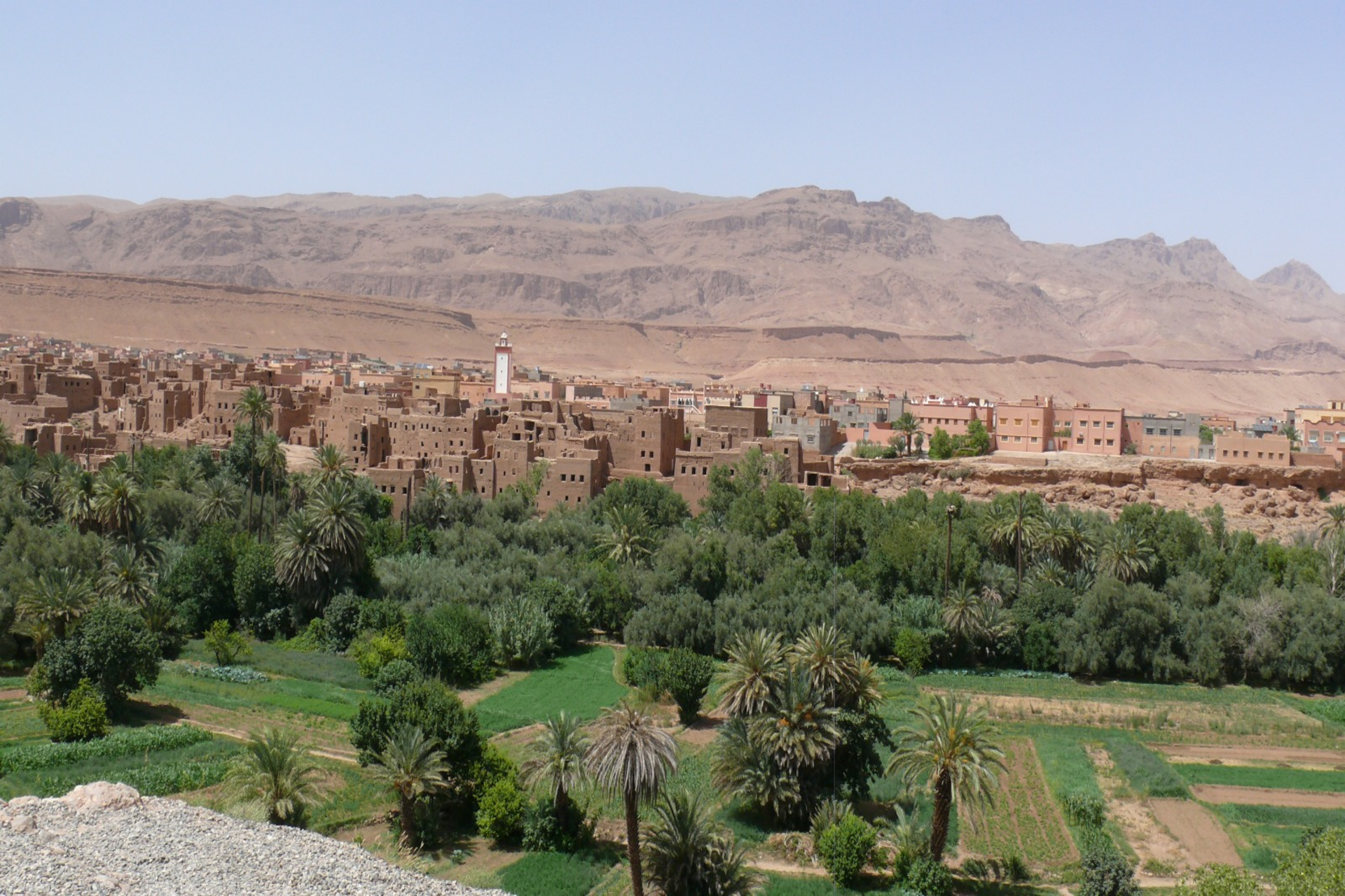 8 Days Tour from Casablanca to Marrakech via the Sahara Desert