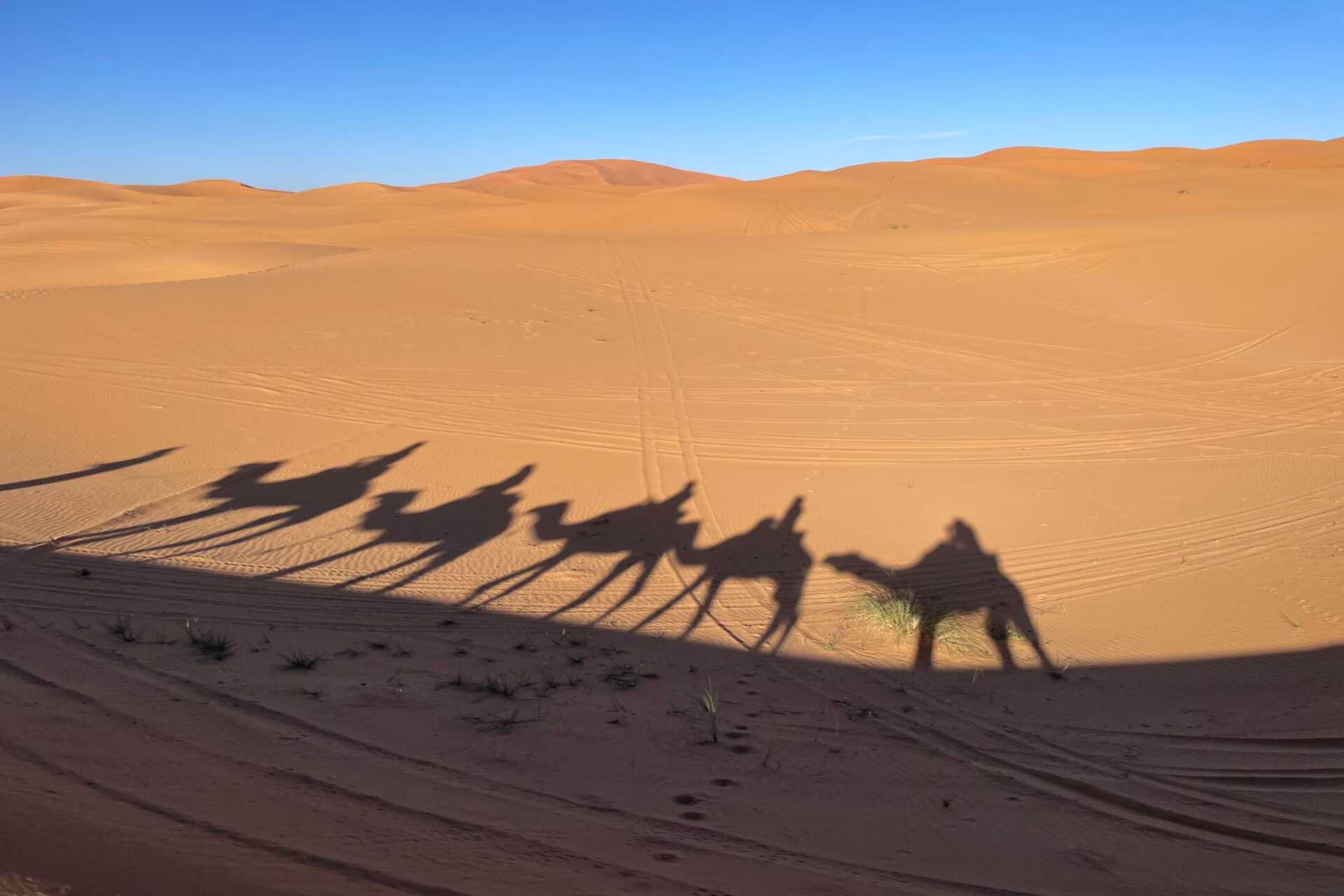 10 Days Tour from Tangier To Marrakech